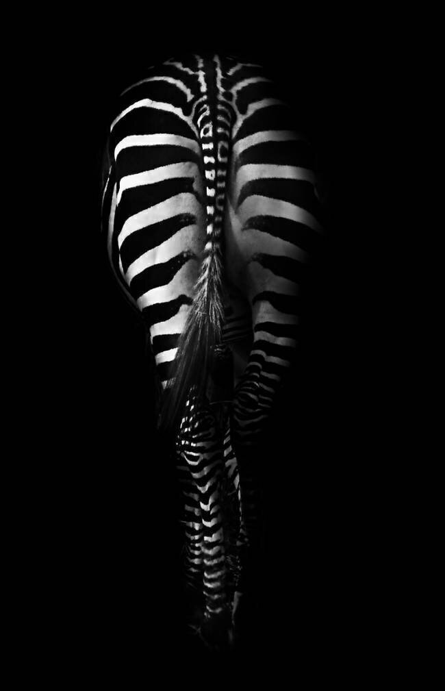 Untitled Antonio Grambone