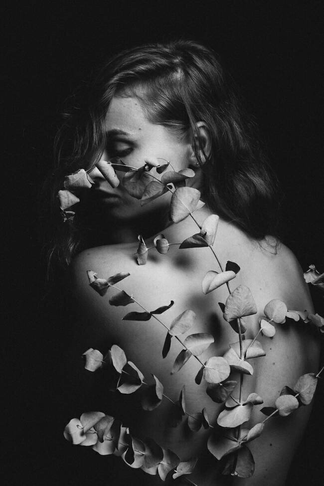 Untitled Artem Vasilenko