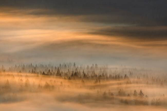 Untitled Tomasz Rojek