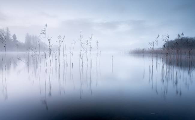 Untitled David Ahern