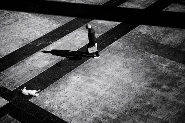 Untitled Ali Ayer