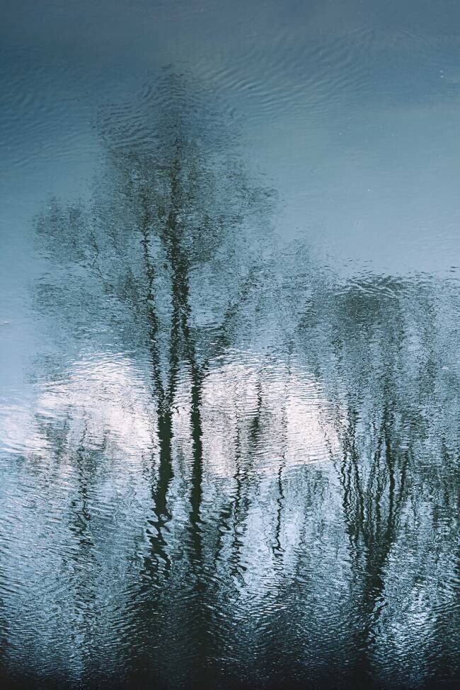 Untitled Pia Mihailowitsch