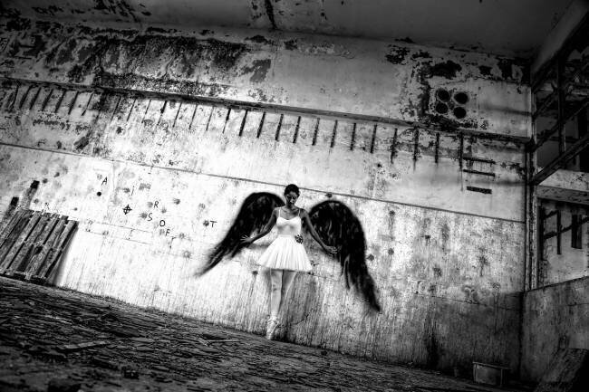 Untitled Paulo Medeiros