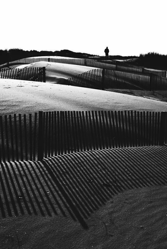 Untitled Rui Ferreira