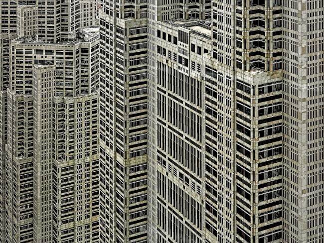 Urban forest Rodrigo Marin