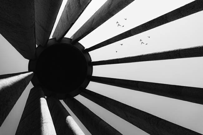 Vers le trou noir Hamid Mohammad Hossein