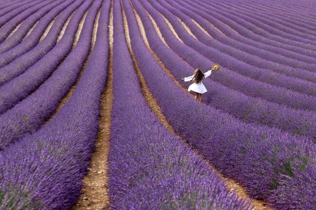 Violet Massimo Della Latta