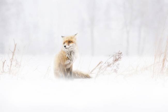 Waiting... Doris Reindl