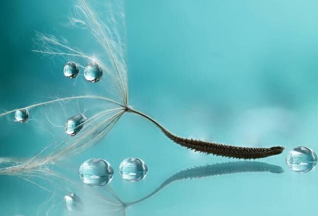 Water Rina Barbieri 