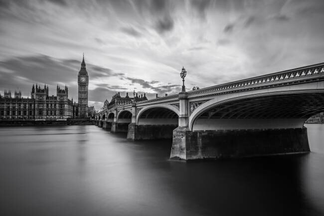Westminster Serenity Nader el Assy