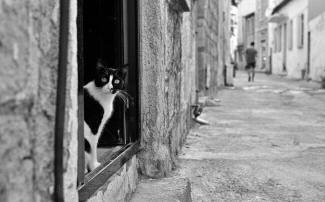 Qui est-ce ? Mina Bal