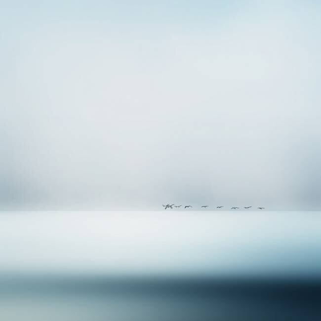 Wild geese Piet Flour