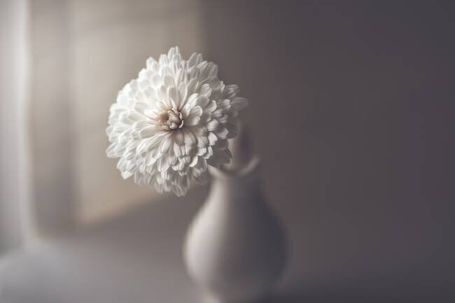 Window light Jose Antonio Sanchez