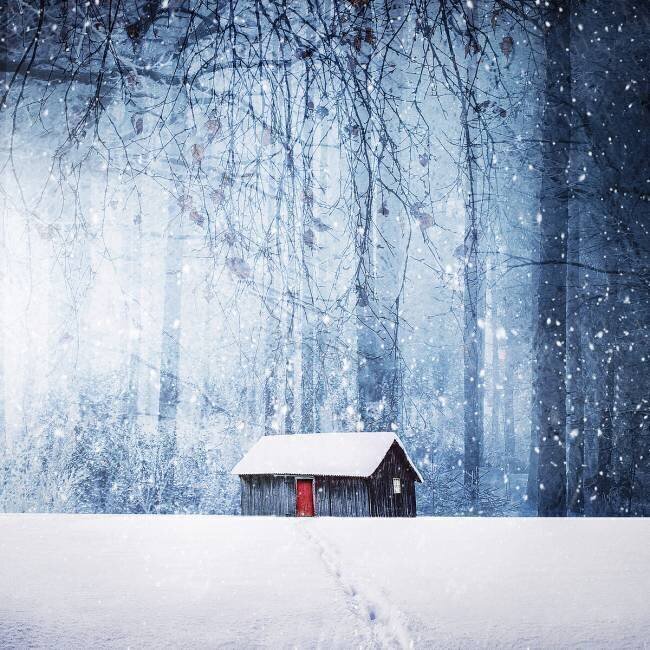 Winter Bess Hamiti