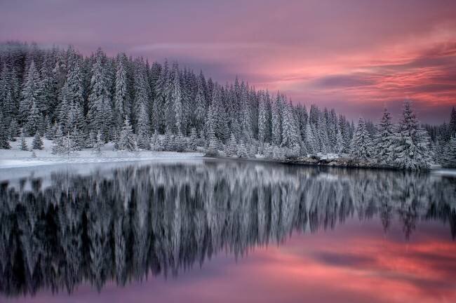 Conte de fées d'hiver Albena Markova