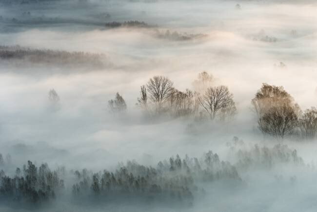 Winter fog Marco Galimberti