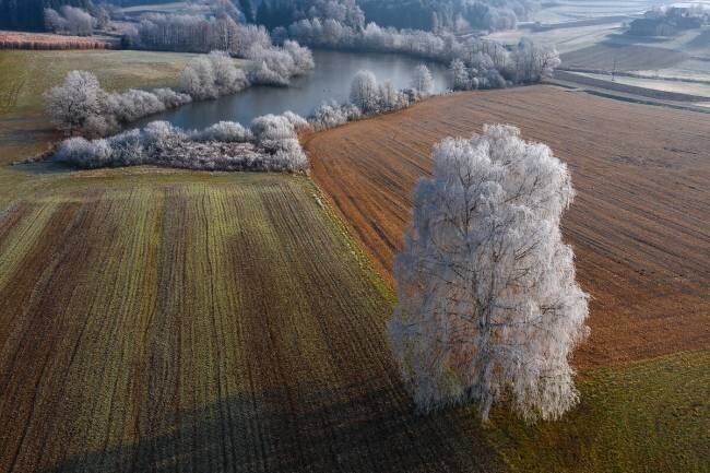 Winter idyll Jure Kravanja