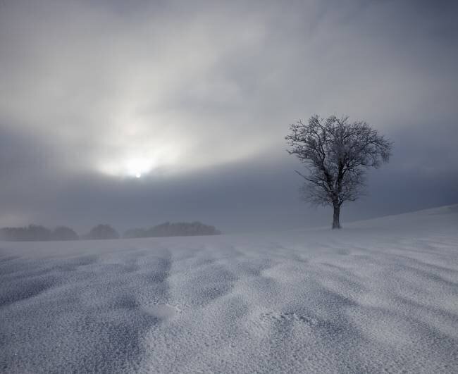 Winter Impression Nicolas Schumacher