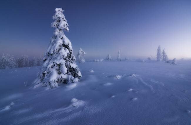 Winter is back Fabian Muller