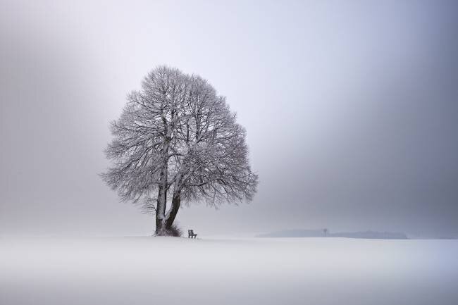 Lumière d'hiver Nicolas Schumacher