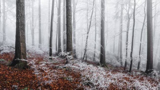 Winter moods Burim Muqa