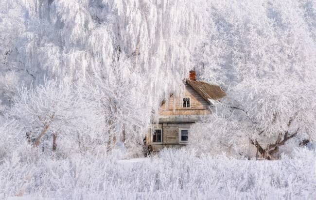 Winter Tale Vlad Sokolovsky
