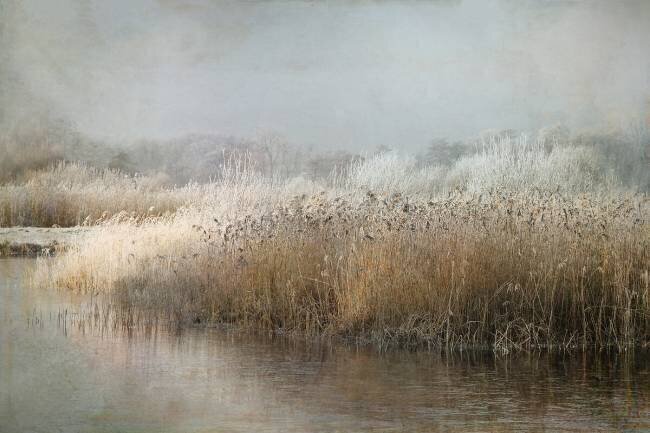 Wintermorning Nel Talen