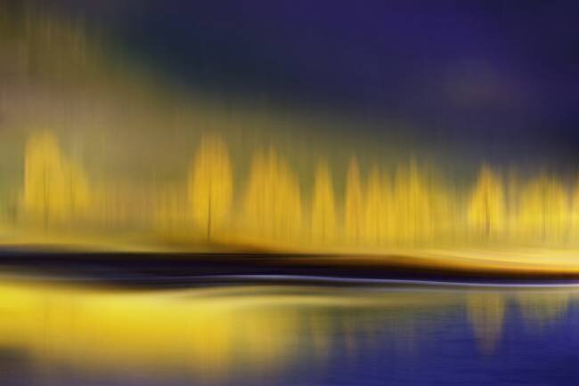 Yellow night Heidi Westum
