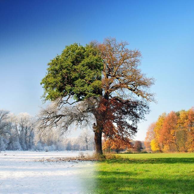 4 seasons Adam Brzuszek