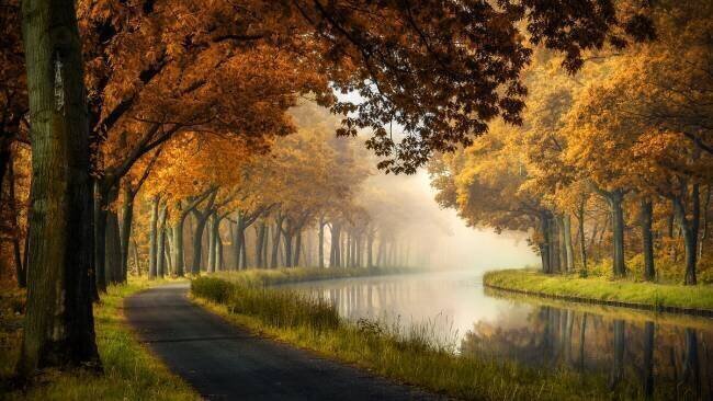 A calm morning Sus Bogaerts