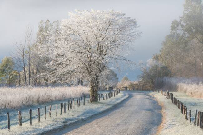 A Frosty Morning Chris Moore
