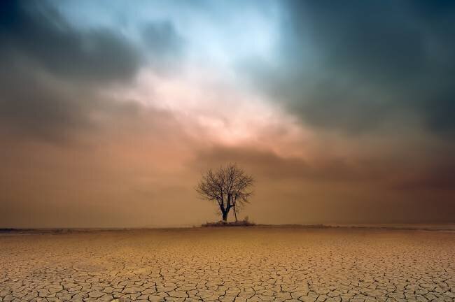 A loner Piotr Krol (Bax)
