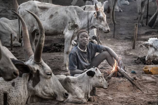 A scene of a Mundari cattle camp-II - South Sudan Joxe Inazio Kuesta