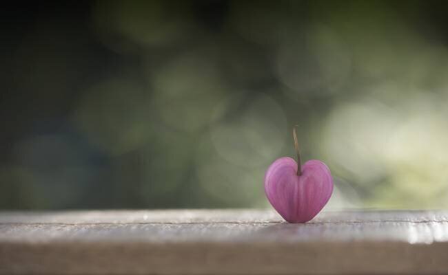 A single heart Lotte Gronkjar
