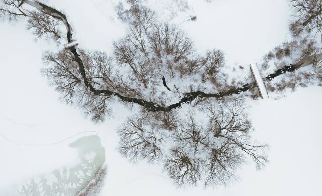 After snow Wei (David) Dai
