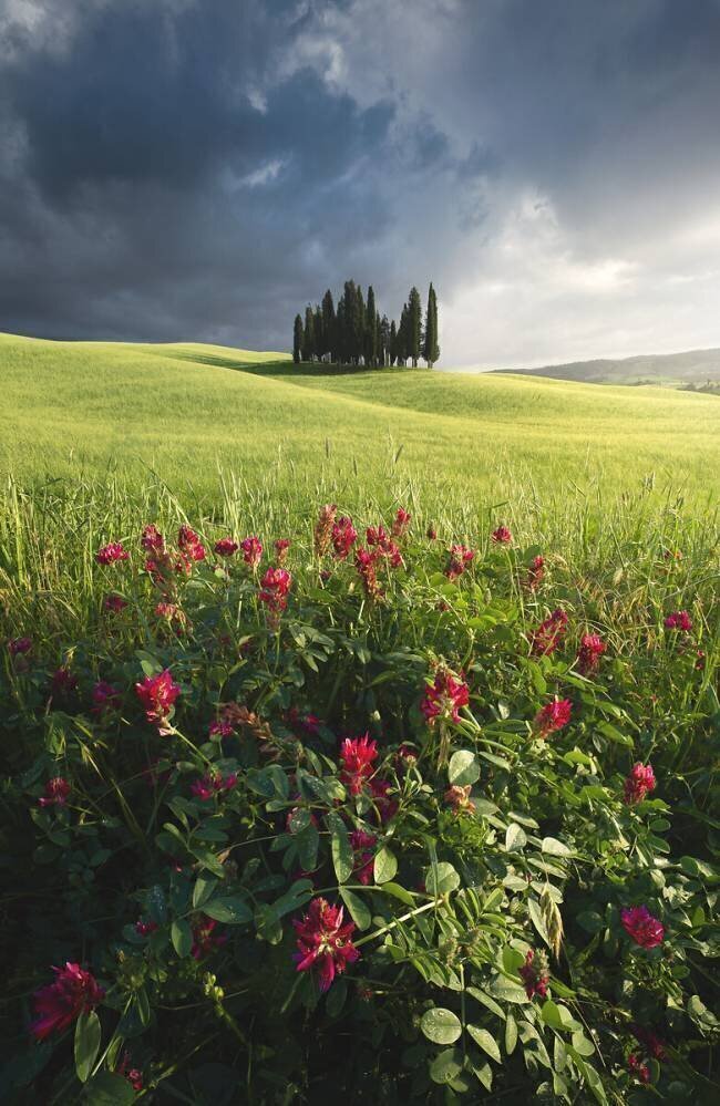 After the Storm Daniele Ceravolo