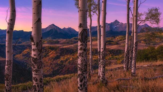 Aspen Frames Mei Xu