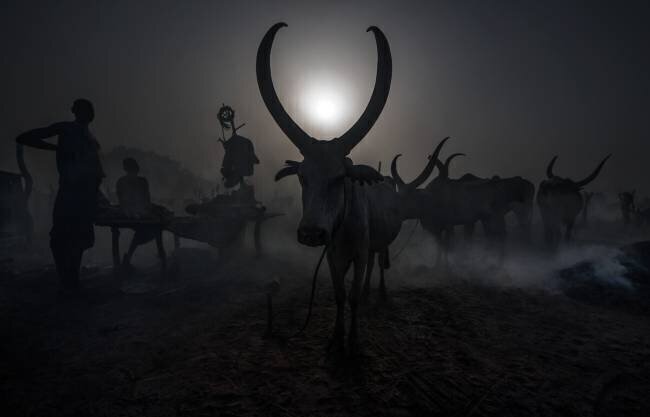 At a Mundari cattle camp - South Sudan Joxe Inazio Kuesta