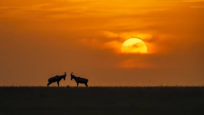 At The Sunset Jun Zuo