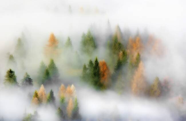 Autumn Dream Kristjan Rems