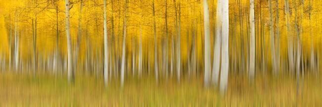Autumn Dream Mei Zu