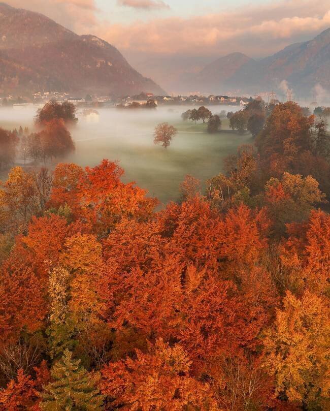 Autumn Frame Ales Krivec
