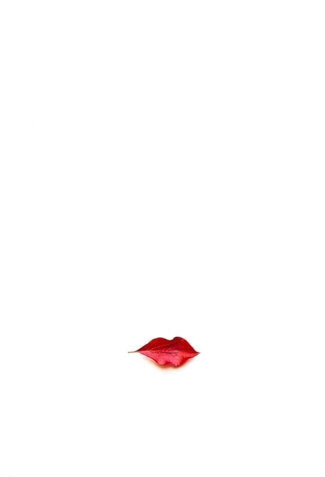 Autumn Kiss April Xie