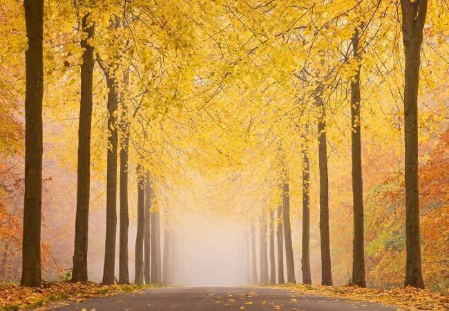 Autumn road Keller