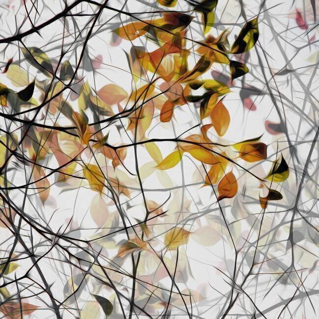 Autumn song Gilbert Claes 