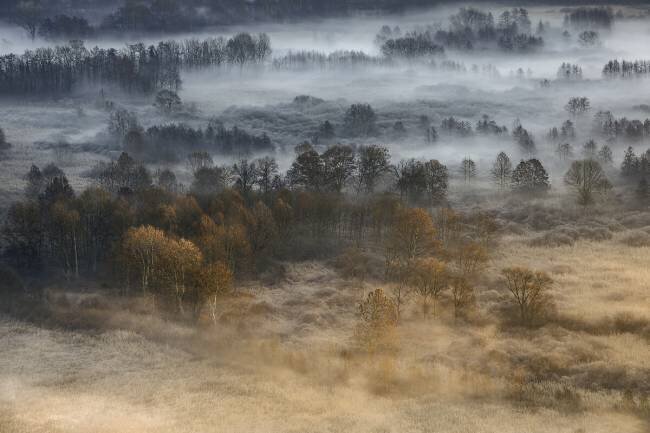 Autumnal misty dawn Fiorenzo Carozzi