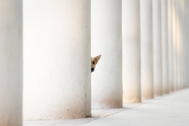 Bella - and the Pillars of the Earth... Heike Willers