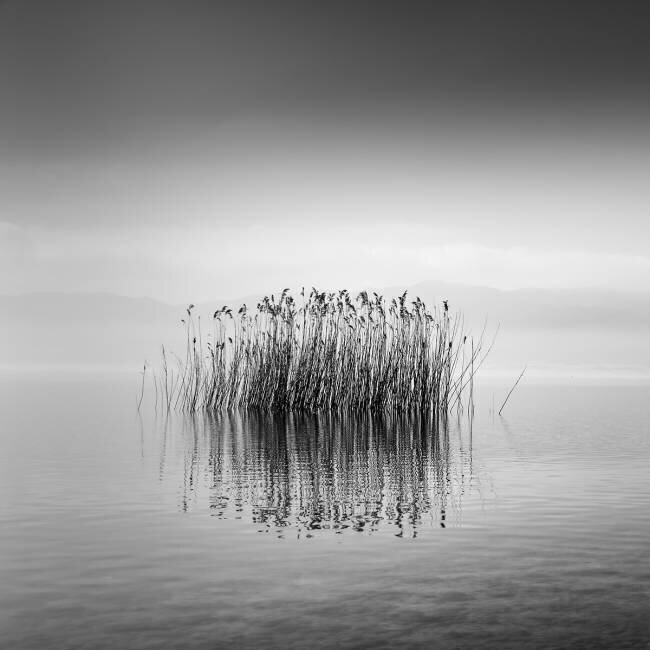 Black and White Silence George Digalakis