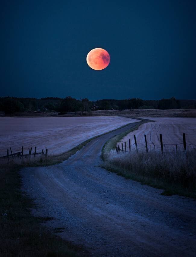 Bloodmoon 2018 Christian Lindsten