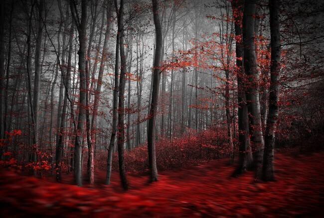Bloody River Samanta Krivec